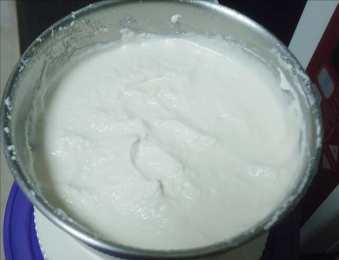 starter for almond yogurt recipe