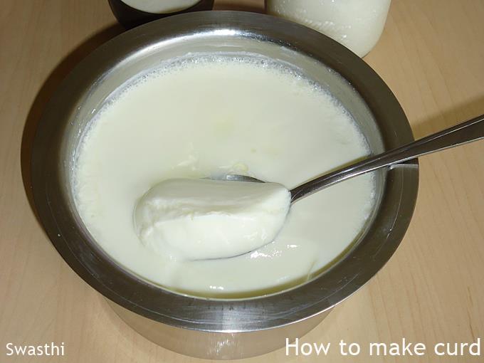 How to make curd or dahi at home (thick curd recipe)