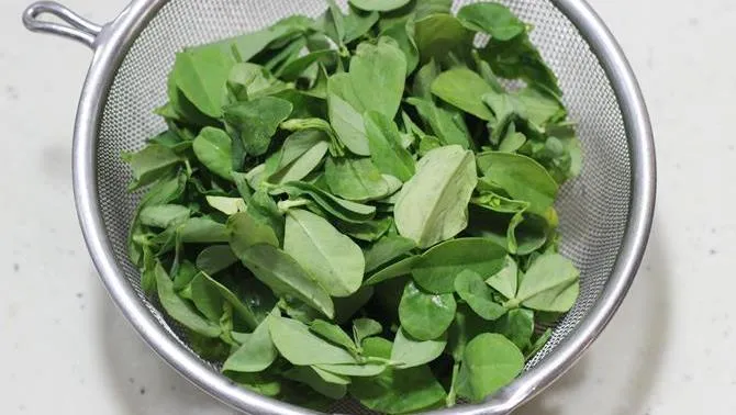 washing methi