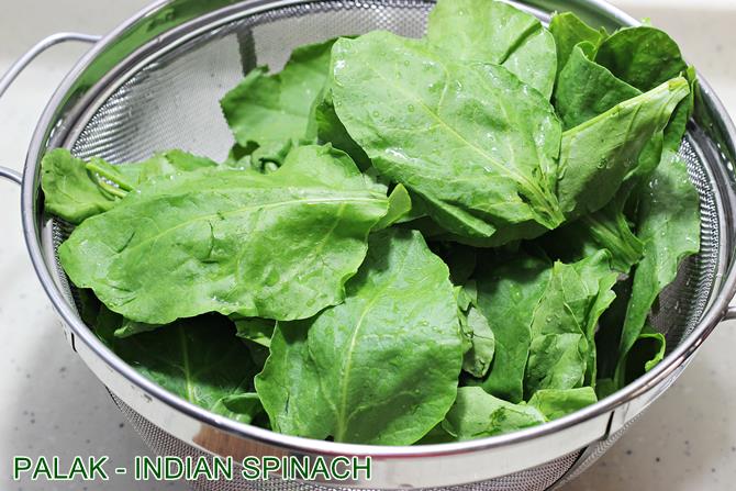 Palak Recipes   15 Indian Spinach Recipes   Swasthi s Recipes - 80