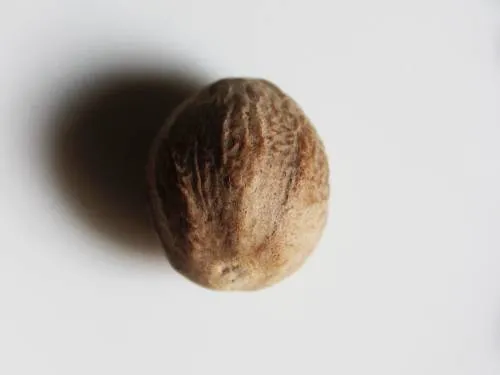 nutmeg