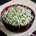 mung bean sprouts recipe