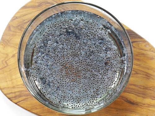 Basil Seed Drink  Sabja Seeds Drink    Swasthi s Recipes - 67