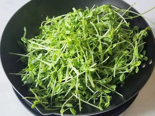 peas shoots with salt in a wok