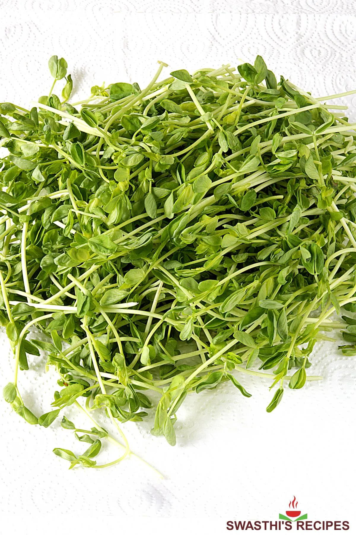 Pea Shoots - Pea Sprouts