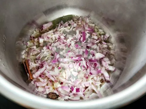 sauteing onions